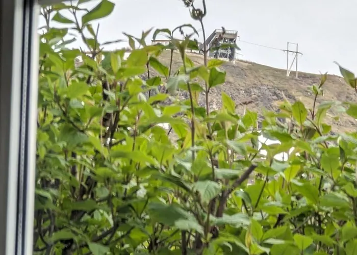 Сasa de vacaciones Charming, Old House, Former Service *