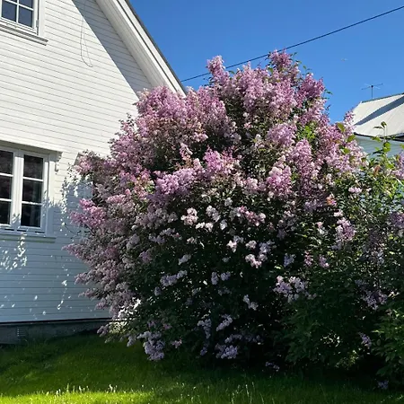 Hébergement de vacances Charming, Old House, Former Service *